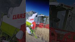 Diese wunderschöne Aussicht Landwirtschaft Unterhaltung LS22 Claas Lexion Mähdrescher [upl. by Clywd]