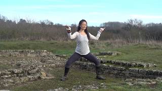 Qigong for the Water Element Nourishing Practices for Body Mind and Spirit [upl. by Etterb436]