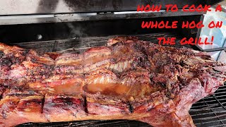 How To Cook A Whole Hog On The Grill [upl. by Lala]