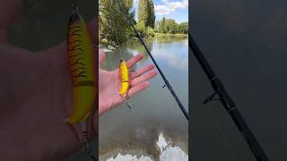 CATFISH CALLcasting with abugarcia MAX PRO rod [upl. by Gargan]