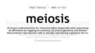 Pronunciation of Meiosis  Definition of Meiosis [upl. by Trawets]