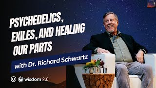 quotPsychedelics Exiles and Healing our Partsquot with Dr Richard Schwartz [upl. by Odrawde774]