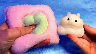 ASMR Softest Squishies in the World Most Unique Texture EVER [upl. by Nerrak823]