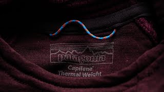 The New Patagonia Capilene Thermal Weight Hoody [upl. by Hsiwhem]