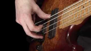 Learn Bass  How to Pluck the Strings [upl. by Morgenthaler958]