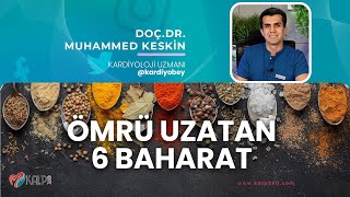 6 Sağlıklı Baharat ve Faydaları [upl. by Holmun]