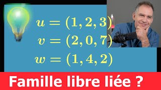 famille de vecteur dans R3 ♦ libre liée  Exercice facile pour comprendre la méthode ♦ MPSI ECS [upl. by Arita]