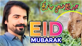 Eid Mubarak  Eid Celebration  Eid al Adha  عیدالاضحی مبارک  Dawood official vlog [upl. by Navoj]