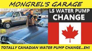 Totally Canadian LS Water Pump ChangeEH [upl. by Opiuuk]