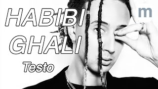 Habibi  Ghali Testo e Musica [upl. by Maryn]