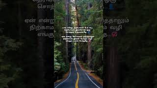 Pookal pookum tharunam 🌺 🪄🦋 song  lyrics  watsAppsts  love trending tamilsongs 💜🪄🦋 [upl. by Hsirt942]