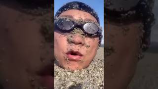 Pumice Stones Fake Land  Amazing Facts [upl. by Warfore967]