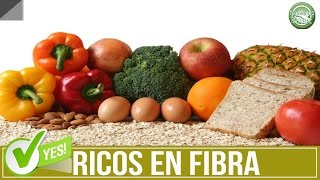 Alimentos Mas Ricos En Fibra  Efecto de Saciedad [upl. by Ludeman587]