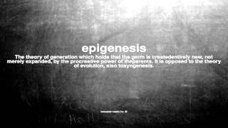 What does epigenesis mean [upl. by Hetty285]