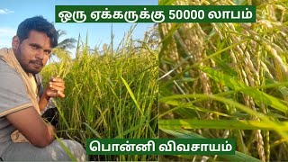 பொன்னி நெல் சாகுபடி செய்வது எப்படி  ponni nel sagupadi  இயற்கை விவசாயி  ponni rice farming [upl. by Lichter400]