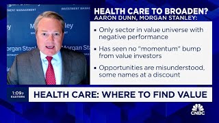 Where to find hidden value picks in healthcare [upl. by Nyvek]