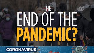 Is the end of the COVID pandemic near Heres what experts say about entering endemic phase [upl. by Victorie150]