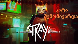 stray 3 კატა შემომივარდა [upl. by Yelhsa]