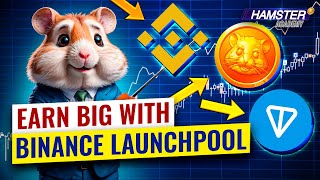 Crypto staking explained What is staking How does it work ⚡️ Hamster Academy [upl. by Anad570]