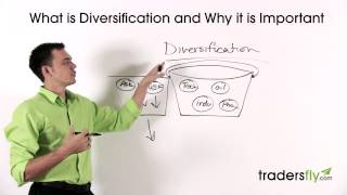 Understanding Diversification in Stock Trading to Avoid Losses [upl. by Dnalyag666]