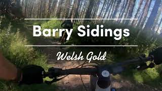 Barry Sidings mtb steep dry and dusty trails [upl. by Gut]