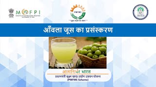 POWER POINT PRESENTATION ON PROCESSING OF ANOLA JUICE HINDI [upl. by Latoya46]