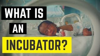 What is an Incubator Isolette Nurse Stefan [upl. by Lizette]