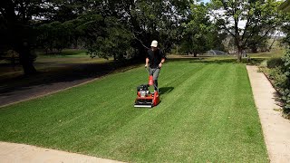 First Reel Mow on My Ryegrass Seed  Week 2 Seed Results [upl. by Domela]