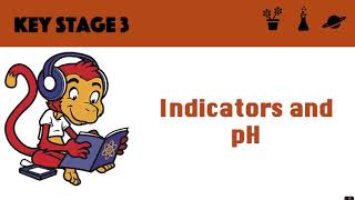 Indicators and pH [upl. by Llenrahs873]