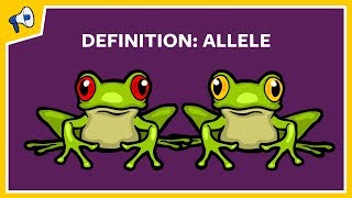 What is an Allele Quick Definition [upl. by Peisch306]