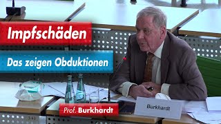 Fachvortrag Impfschäden Das zeigen Obduktionen Prof Dr Arne Burkhardt im sächs Landtag [upl. by Daenis]