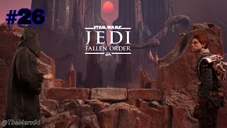 Star Wars Jedi Fallen Order  Hermano Viajero [upl. by Capone723]