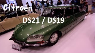 Citroen DS [upl. by Cordeelia]