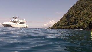 Champagne Reef Snorkel Excursion by boat in Dominica through Carnival Cruise Lines [upl. by Claire]