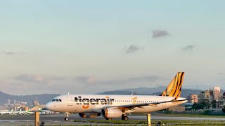 TSA松山飛機巷，Tigerair B50001，飛機起飛🛫️飛機巷 台灣 松山機場airplanes [upl. by Akimert]