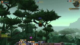 Quest 743 Secrets of the Arakkoa WoW human paladin [upl. by Ellesirg578]