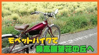 自転車バイクモペットMoped Bike FUKI planning FK310 LAⅢポタリング 高崎市鼻高展望花の丘に菜の花にネモフィラが開花 [upl. by Stavros]