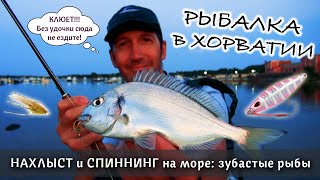 Croatia 2020 vacation with fishing  Хорватия 2020 отпуск с рыбалкой [upl. by Airt]