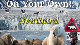 How to Visit Svalbard On Your Own [upl. by Baumbaugh]