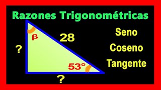 ✅👉 Como calcular el Cateto Adyacente y Opuesto conociendo el Angulo y la Hipotenusa [upl. by Tracay70]