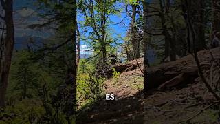 Downhill en la Patagonia Argentina mtb downhillmtb [upl. by Arline230]