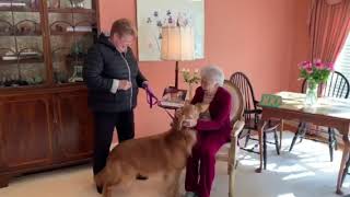 Daniel Golden Retriever wishes Betty a Happy Birthday [upl. by Eibbor323]