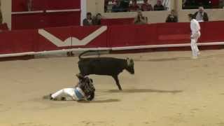 Course landaise  Alès Feria de lAscension 2012 [upl. by Yerffeg266]