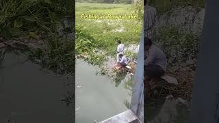 fishing rodfishing lakefishing lake hookfishing hookfishingvideos fishinglife fishingvideo [upl. by Lednahc]