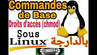 Système Dexploitation LINUX Commande de Base 6 بالدارجة [upl. by Nala]