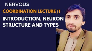 Nervous Coordination lecture 1 Introduction Neuron Structure and Types [upl. by Airyk]