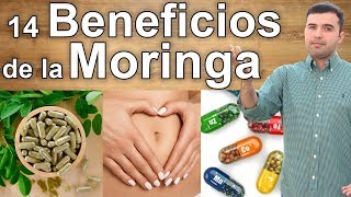 Para Que Sirve La Moringa  14 Beneficios que Debes Conocer [upl. by Ellehcir]