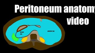 Peritoneum anatomy video [upl. by Htebasil]