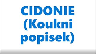 I Ekura I Cidonie Návod [upl. by Ihel]