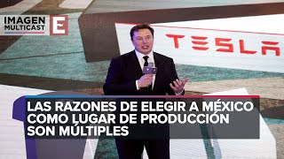 ¿Por qué eligió Tesla a México Las razones de Musk [upl. by Ahsenat]